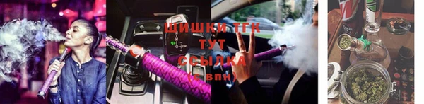 молекула духа Вязьма