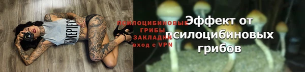 соль курить ск Вяземский