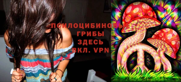хмурый Вязники