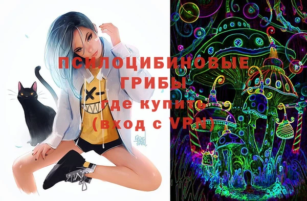 соль курить ск Вяземский