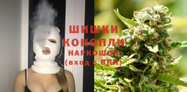молекула духа Вязьма