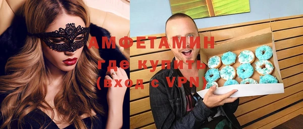 молекула духа Вязьма