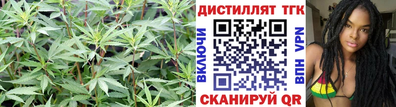 Дистиллят ТГК жижа  Купить  Грайворон 