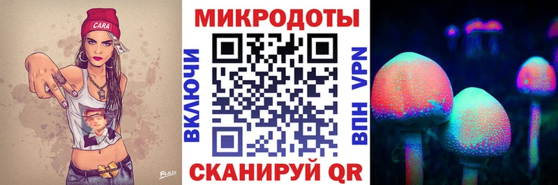 Псилоцибиновые грибы MAGIC MUSHROOMS  Купить закладки  Грайворон 