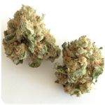 Шишки "White Widow"  (Белая вдова)  Гидропоника -  Бошка VHQ в Грайвороне